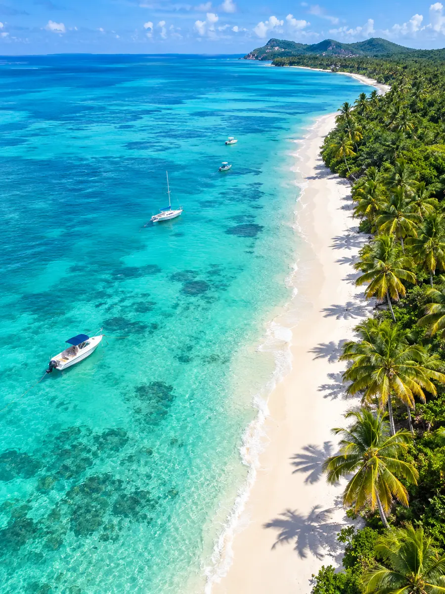 Luftaufnahme eines palmengesäumten weißen Strands auf der Insel Saona mit Sonnenliegen und türkisem Wasser